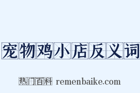 宠物鸡小店反义词是什么意思的图片